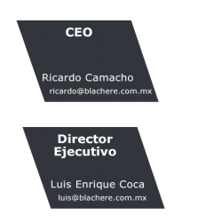 ceo ceo