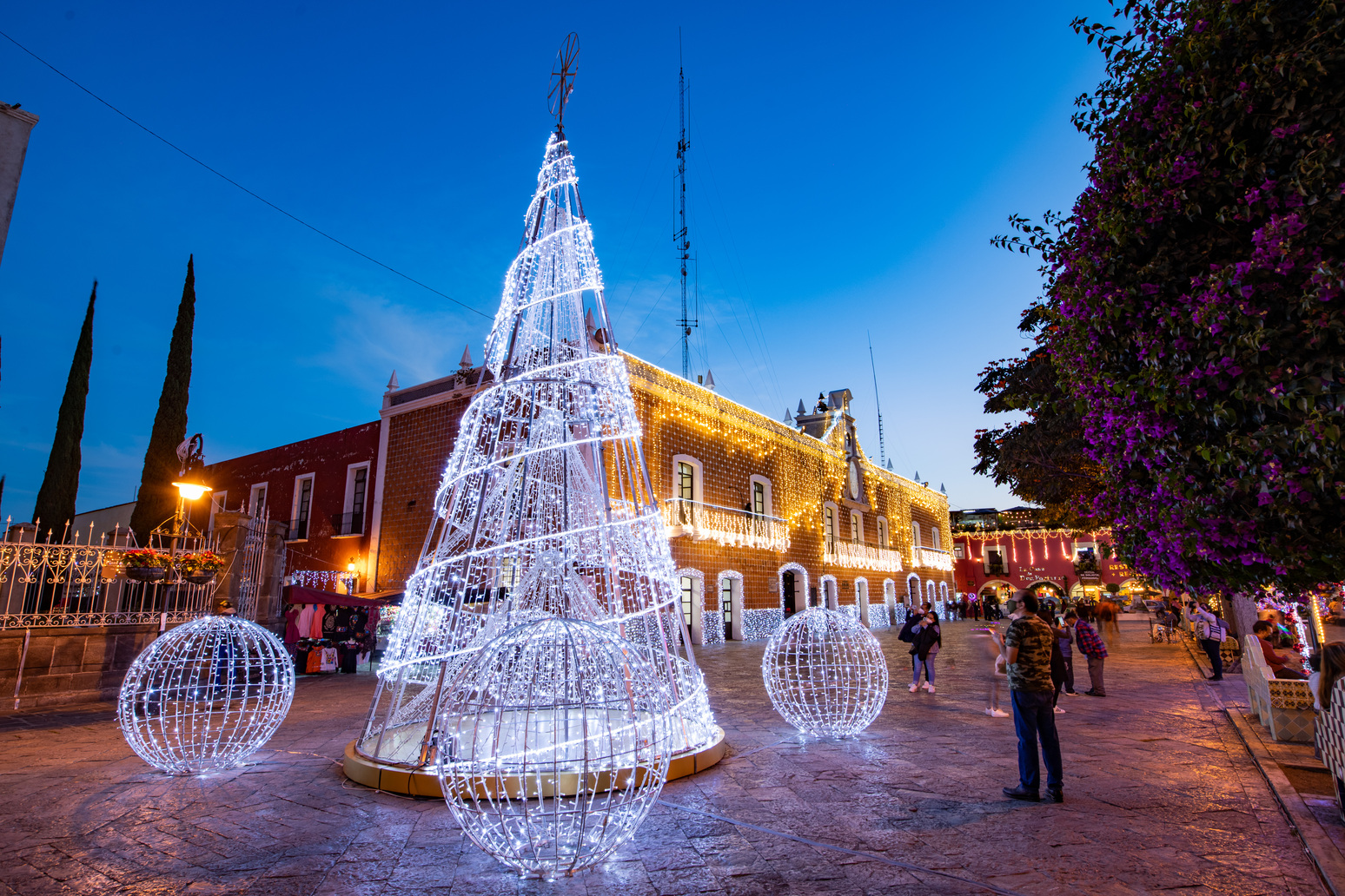 Árboles de navidad ? e iluminación navideña Municipios / Luces / Adornos  ayuntamiento